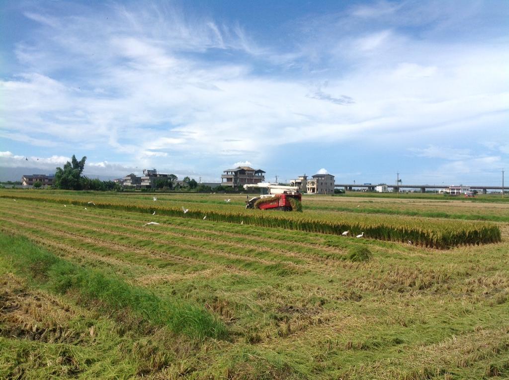 Countryside B&B Zhuangwei Exterior foto