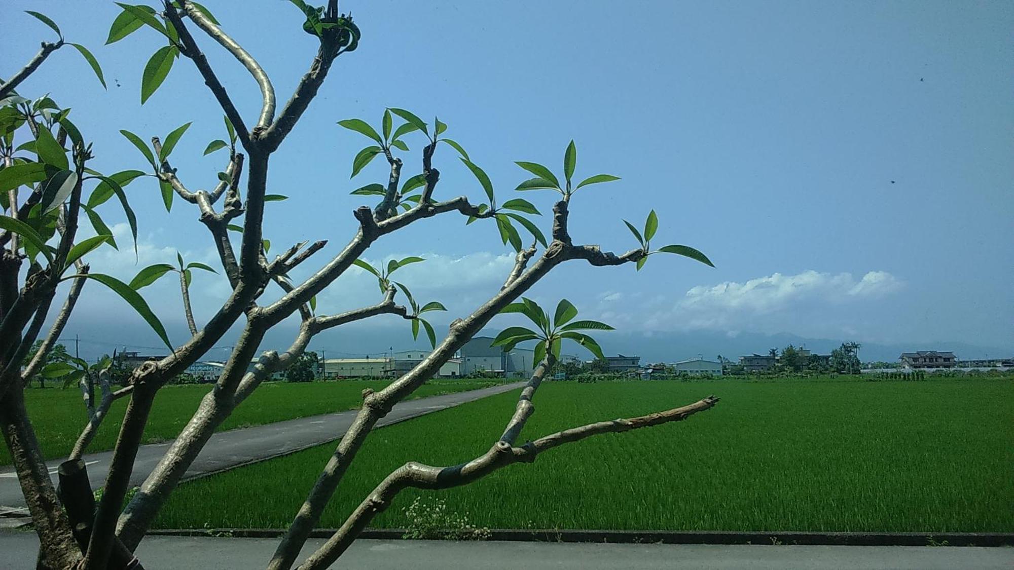Countryside B&B Zhuangwei Exterior foto